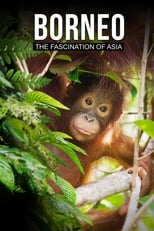 Poster de la película Borneo: The Fascination of Asia