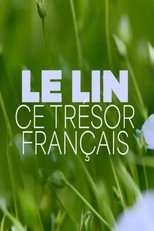 Poster de la película Le lin, ce trésor français