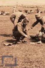 Poster de la película 12th Cavalry Division