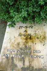 Poster de la película You never did anything wrong