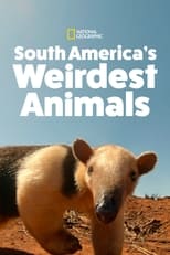 Poster de la serie South America's Weirdest Animals