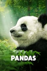 Poster de la película Pandas