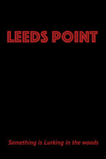 Poster de la película Leeds Point