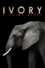 Poster de la película Ivory. A Crime Story