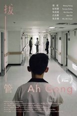 Poster de la película Ah Gong