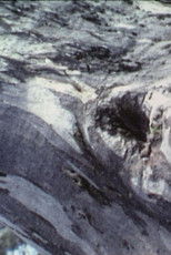 Poster de la película Twisty