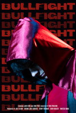 Poster de la película Bullfight