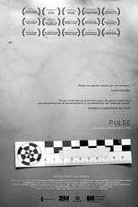 Poster de la película Pulse