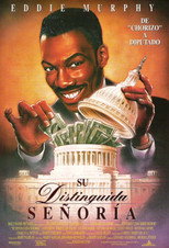 Poster de la película Su distinguida señoría