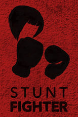 Poster de la película Stunt Fighter