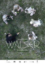 Poster de la película Walser