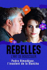 Poster de la película Almodóvar, l'insolent de la Mancha