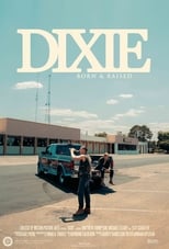 Poster de la película Dixie