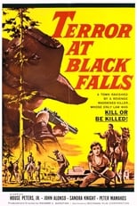 Poster de la película Terror At Black Falls