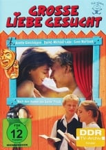 Poster de la película Große Liebe gesucht