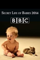 Poster de la película Secret Life of Babies