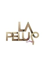 Poster de la serie La Pelu