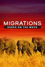 Poster de la película Migrations: Herds on the Move
