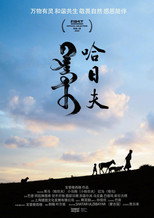 Poster de la película Harhuu