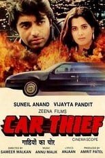 Poster de la película Car Thief