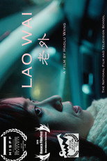 Poster de la película Lao Wai