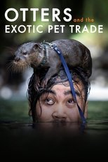 Poster de la película Otters and the Exotic Pet Trade