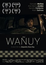 Poster de la película Wañuy