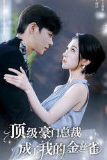Poster de la serie 顶级豪门总裁成了我的金丝雀