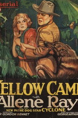 Poster de la película The Yellow Cameo