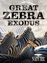 Poster de la película Nature: Great Zebra Exodus