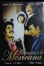 Poster de la película Amor a la Mexicana