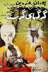Poster de la película Hungry Wolves