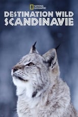 Destination Wild Scandinavie