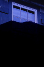 Poster de la película Quaker Run Wildfire