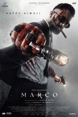 Poster de la película Marco