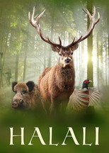 Poster de la película Halali