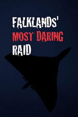 Poster de la película Falklands' Most Daring Raid