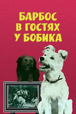Poster de la película Barbos Visiting Bobik