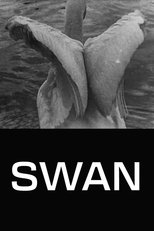 Poster de la película Swan