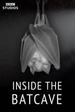 Poster de la serie Inside the Bat Cave