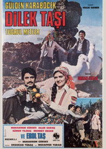 Poster de la película Dilek Taşı