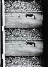 Poster de la película Corrida