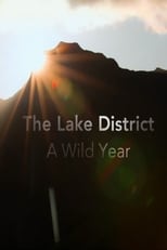 Poster de la serie A Wild Year