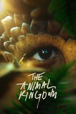 Poster de la película The Animal Kingdom