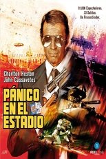 Poster de la película Pánico en el estadio