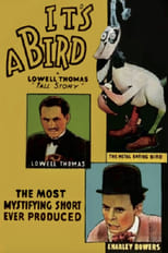 Poster de la película It's a Bird