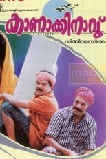 Poster de la película Kanakkinavu