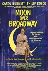 Poster de la película Moon Over Broadway