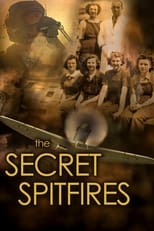 Poster de la película The Secret Spitfires