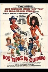 Poster de la película Dos tipas de cuidado